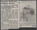 Ausstellung Mira Schmuck Aus Barcelona Wochenblatt April 1997