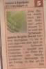 Ausstellung Eine Blume macht noch keinen Sommer Wochenblatt Mai 2006